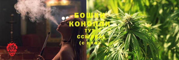 PSILOCYBIN Пенза