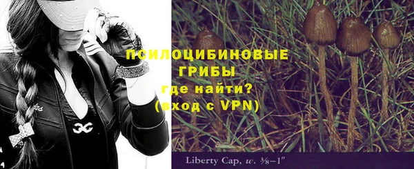 хмурый Чита